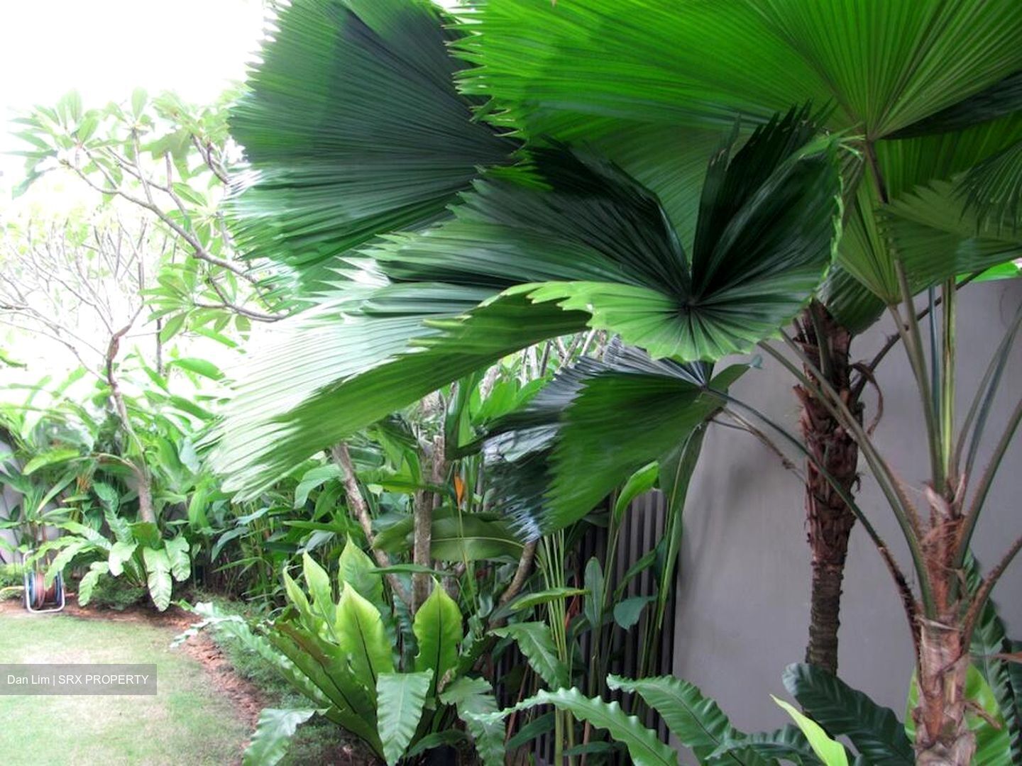 Braddell Heights Estate (D13), Detached #502634471